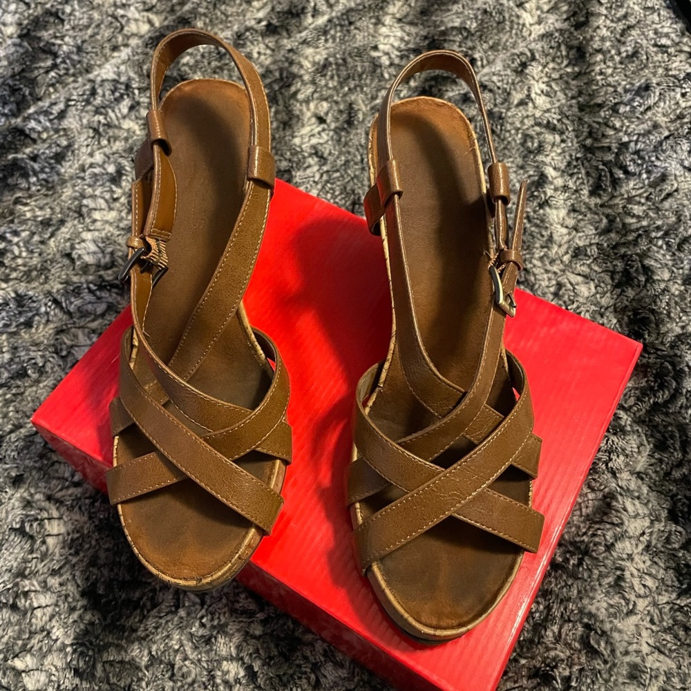 Brown Aerosole wedges